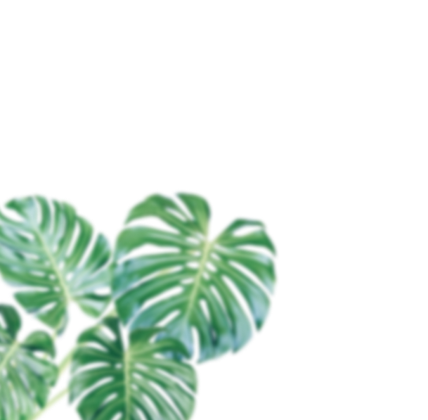 decorative background image