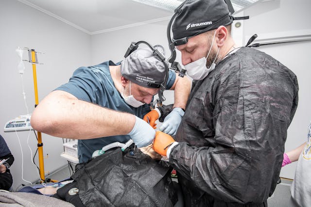 dentist treating the patient